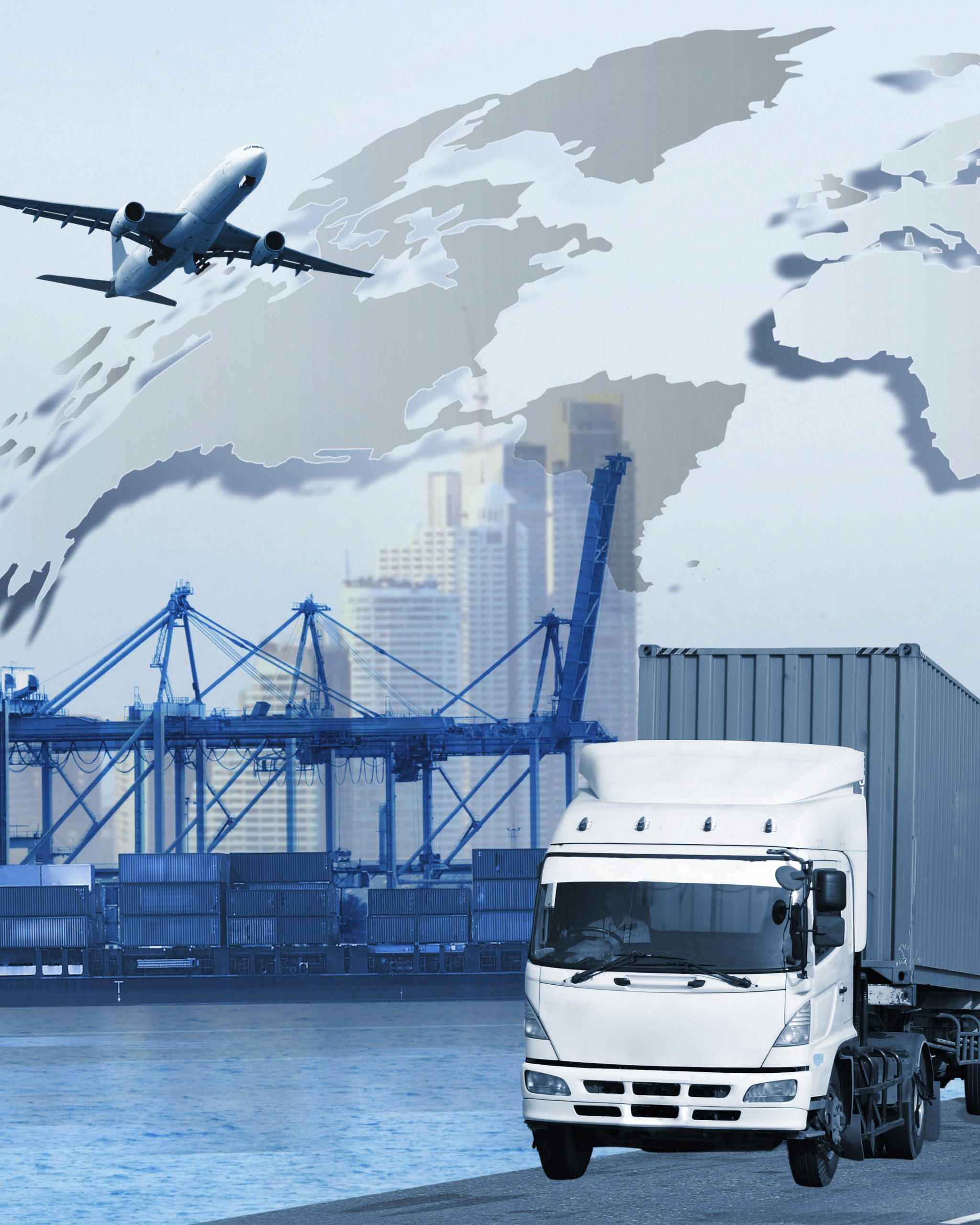 Risks in Raw Material and Food Supply Chains